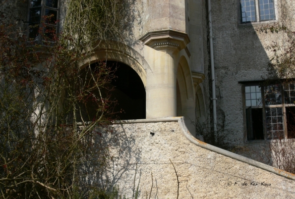 Bois des Moutiers (112) mars 2012